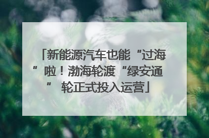 新能源汽车也能“过海”啦！渤海轮渡“绿安通” 轮正式投入运营